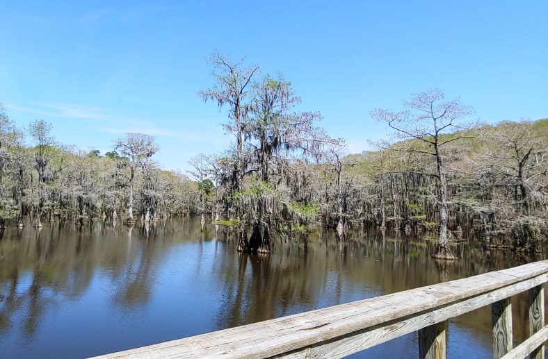 tent lake Caddo Cypress