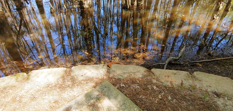 tent pad at lake Caddo