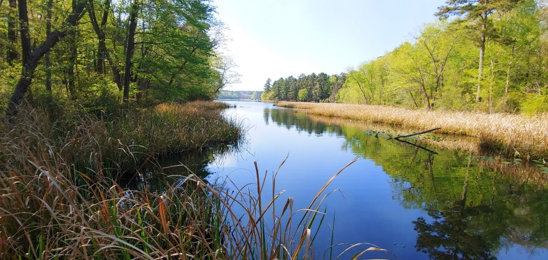 tyler state park hiking trail.jpg