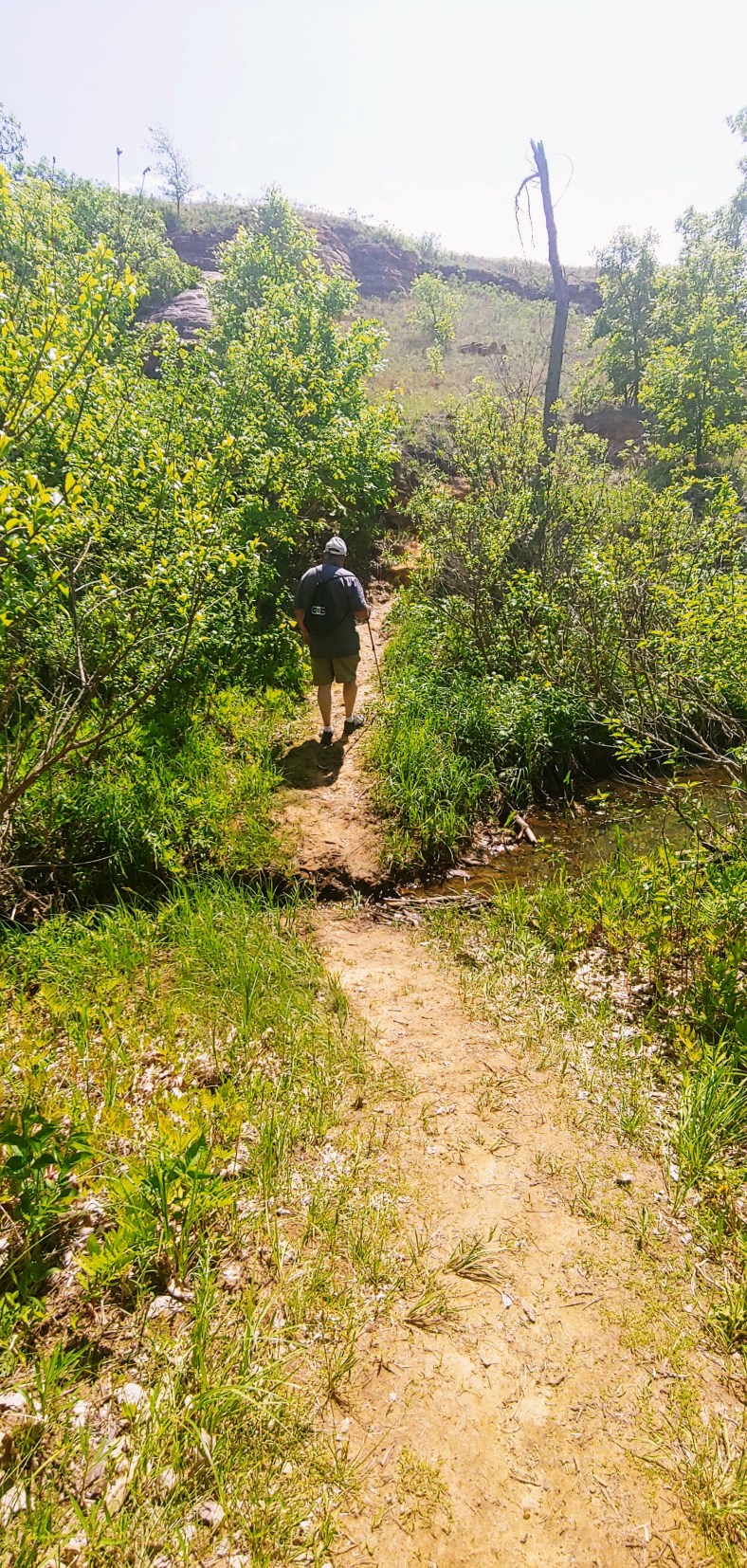 looking at DeW on trail.jpg